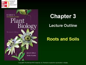 Chapter 3 Lecture Outline Roots and Soils Copyright