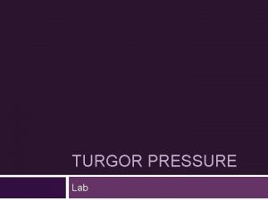 TURGOR PRESSURE Lab What is Turgor Pressure Plant