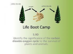 carbon dioxide oxygen carbon dioxide Life Boot Camp