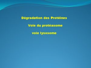 Dgradation des Protines Voie du protasome voie lysosome