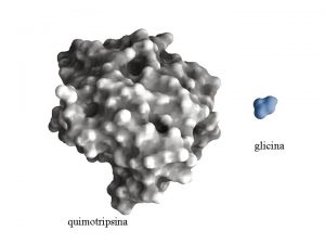 glicina quimotripsina Quimotripsina cataliza hidrlise de ligaes peptdicas