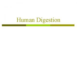Human Digestion Human Digestion The Digestive Organs The
