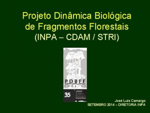 Projeto Dinmica Biolgica de Fragmentos Florestais INPA CDAM