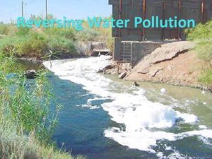 Reversing Water Pollution Water Facts of the Earth