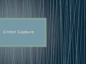 Critter capture