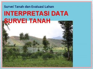 Survei Tanah dan Evaluasi Lahan INTERPRETASI DATA SURVEI