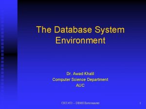 The Database System Environment Dr Awad Khalil Computer