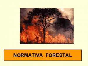 NORMATIVA FORESTAL LEY FORESTAL N 15 93987 DECLRASE