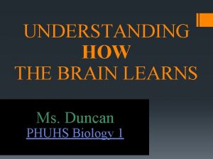 UNDERSTANDING HOW THE BRAIN LEARNS Ms Duncan PHUHS