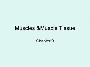 Muscles Muscle Tissue Chapter 9 Function of Muscles