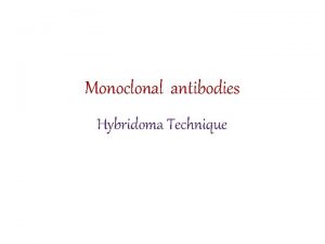 Monoclonal antibodies Hybridoma Technique Monoclonal antibodies m Ab