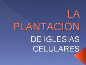 LA PLANTACIN DE IGLESIAS CELULARES VISIN Que cada