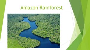 Amazon Rainforest The Amazon Rainforest The Amazon rainforest
