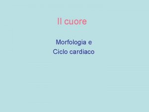 Il cuore Morfologia e Ciclo cardiaco Cavit toracica