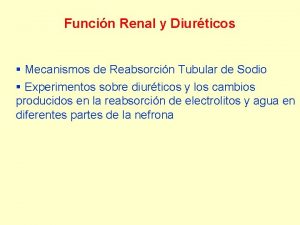 Funcin Renal y Diurticos Mecanismos de Reabsorcin Tubular