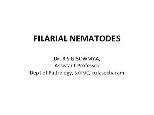 FILARIAL NEMATODES Dr R S G SOWMYA Assistant