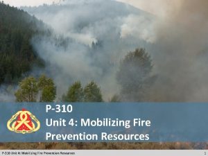 P310 Unit 4 Mobilizing Fire Prevention Resources 1