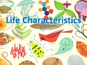 Life Characteristics What is Biology Biology The study
