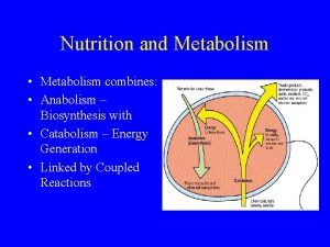 Nutrition and Metabolism Metabolism combines Anabolism Biosynthesis with