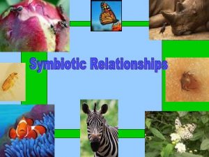 Competition Intraspecific between organisms of the same species