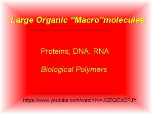 Large Organic Macromolecules Proteins DNA RNA Biological Polymers