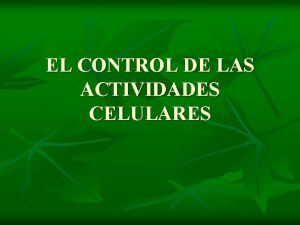 EL CONTROL DE LAS ACTIVIDADES CELULARES FOTOSINTETIZADORES Y