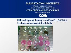 MASARYKOVA UNIVERZITA PRODOVDECK FAKULTA STAV EXPERIMENTLN BIOLOGIE ESK