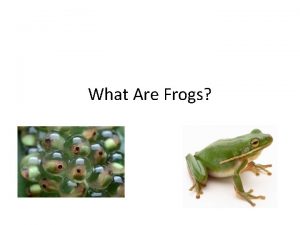 What Are Frogs Amphibians Amphibian means twolives Cold