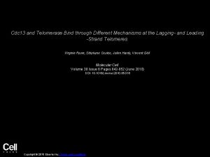 Cdc 13 and Telomerase Bind through Different Mechanisms