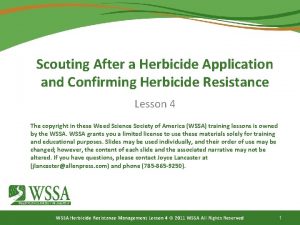 Scouting After a Herbicide Application and Confirming Herbicide