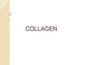Collagen is a major component of