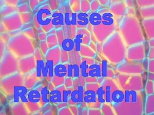 Chromosomal disorders Inborn errors of metabolism Developmental disorders