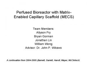 Perfused Bioreactor with Matrix Enabled Capillary Scaffold MECS