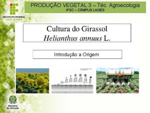 PRODUO VEGETAL 3 Tc Agroecologia IFSC C MPUS