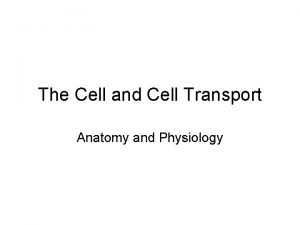 The Cell and Cell Transport Anatomy and Physiology