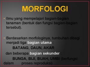 MORFOLOGI Ilmu yang mempelajari bagianbagian tanaman bentuk dan