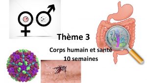 Thme 3 Corps humain et sant 10 semaines