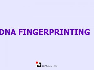 DNA FINGERPRINTING LLC Bologna 2010 GENETICA FORENSE La