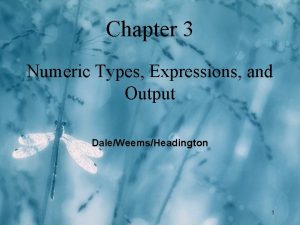 Chapter 3 Numeric Types Expressions and Output DaleWeemsHeadington