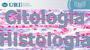 Citologia e Histologia 1 O que vamos estudar