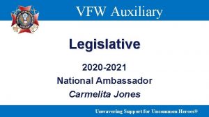 VFW Auxiliary Legislative 2020 2021 National Ambassador Carmelita