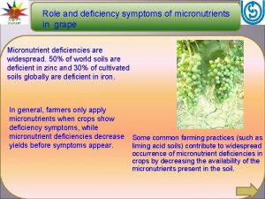 Role and deficiency symptoms of micronutrients in grape