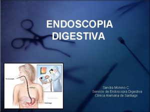 ENDOSCOPIA DIGESTIVA Sandra Moreno C Servicio de Endoscopa