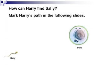 How can Harry find Sally Mark Harrys path