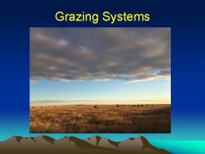 Grazing Systems Before We Arrived Migratory Grazing Animals