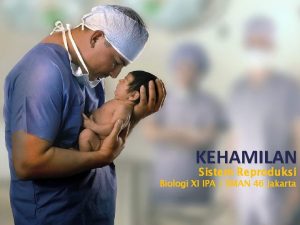 KEHAMILAN Sistem Reproduksi Biologi XI IPA SMAN 46