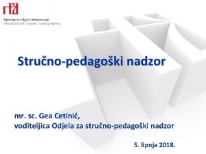 Strunopedagoki nadzor mr sc Gea Cetini voditeljica Odjela