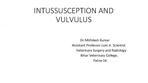 INTUSSUSCEPTION AND VULVULUS Dr Mithilesh Kumar Assistant Professor