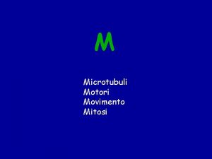 M Microtubuli Motori Movimento Mitosi Leterodimero a btubulina