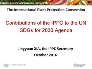 The International Plant Protection Convention Contributions of the